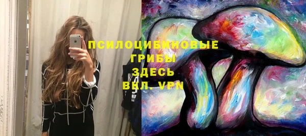дмт Елабуга