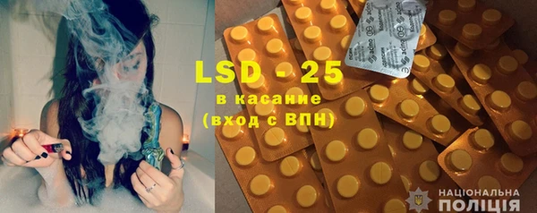 дмт Елабуга