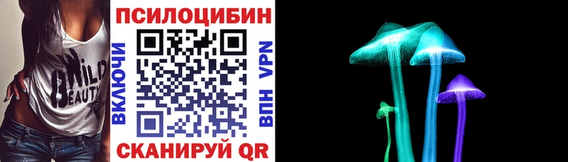 где можно купить наркотик  Нефтекамск  Галлюциногенные грибы Psilocybe 